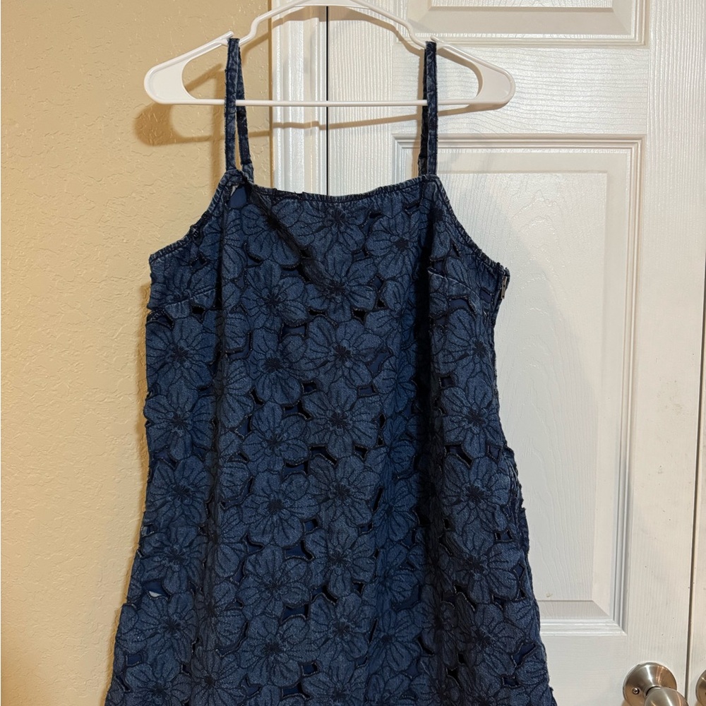American Eagle Outfitters Navy Floral Denim Dress
